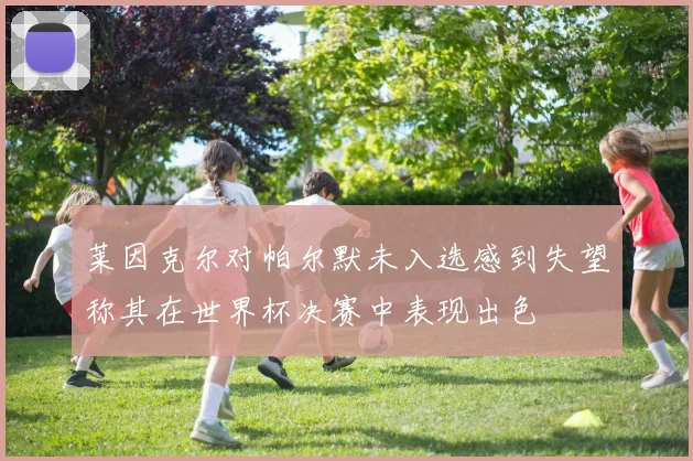 莱因克尔对帕尔默未入选感到失望称其在世界杯决赛中表现出色