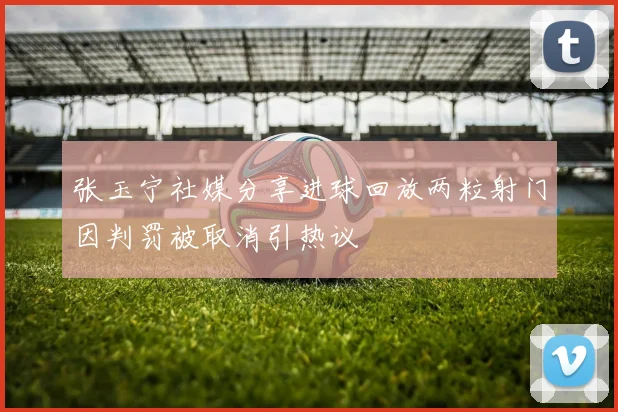 张玉宁社媒分享进球回放两粒射门因判罚被取消引热议